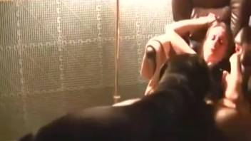 Attractive bestiality-loving woman gets fucked on an office seat