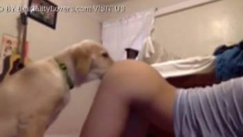 Bouncy-butted babe receives oral from a canine before climaxing