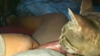 Kitty gets to lick all over this dude's delicious peen