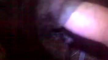 Enticing equine vagina explored with a firm penis in this scene