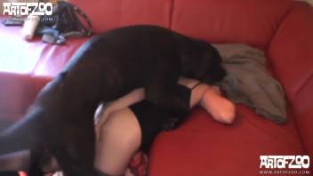 Golden-haired vixen in ebony attire being pounded by a canine