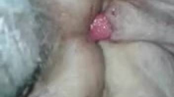 Big booty animal lover getting fucked by a filthy mutt