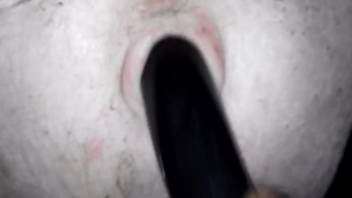 Guy anally penetrates slut with enormous dildos for ultimate fetish thrill