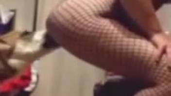 Zoophile in fishnet stockings gets tongued by a dog