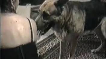 German Shepherd dog bangs the sexy lady and gets her to orgasm