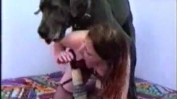 Horny webcam models captured on video performing depraved acts with the dog