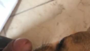 Guy's intact dick gets satisfied by an incredibly hot beast