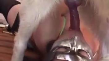 Aroused woman in a seductive mask handles that huge cock