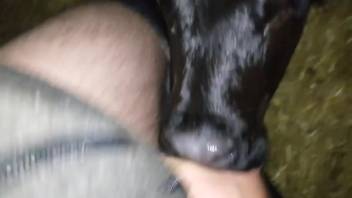 Hot vixen getting face-fucked by a aroused hunk