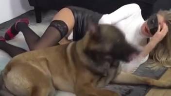 Hot masked blonde banging a filthy mutt