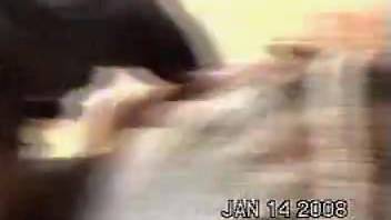 Ardent babe had her cunt lapped by ebony pooch