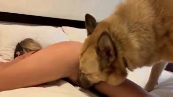 Busty blonde with a perky ass screws a stunning pup