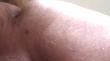 Aroused homosexual guy experiments with anal intercourse involving his canine in amateur bestiality footage