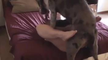 Naked missionary-style domestic kinks for a bare thirty-something wife