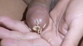Aroused guy experiences intense pleasure jerking off with worms inside his dick