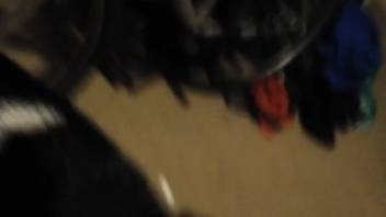 Bulging-veined cock of a bestiality lover is tongued by a filthy mutt