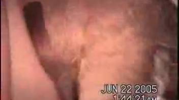 Stunning intercourse with skilled canine and fervent bare woman