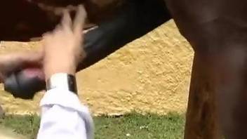 Intense outdoor horse perversions for a thin blonde with sexy lines