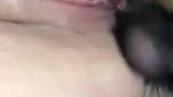 Stunning lady experiences a fat canine cock pounding her soaked pussy