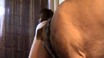 Amazing homemade porn session with a Rottweiler and a thick-booty babe