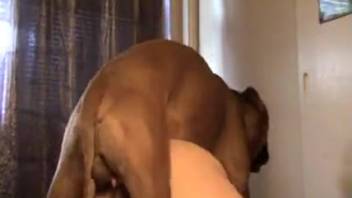 Rear-entry banging session with an obedient bestiality lover