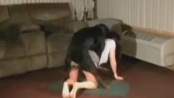 Ginger-haired woman arches her rear for her canine and withstands intense doggy-style intercourse