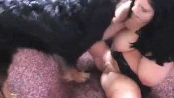 Dark-haired lady with real tits savoring intense pussy licking