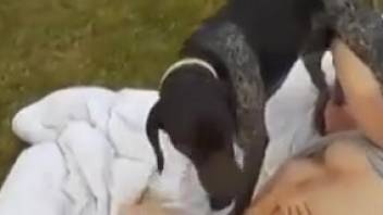 Naked voluptuous woman savors canine cum after erotic al fresco deviances