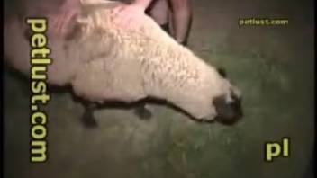 Alluring rancher pounds his attractive ewe in the doggy position