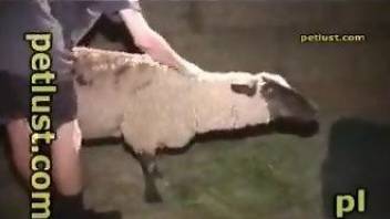 Sensual farmer drills his lovely sheep in doggy style pose