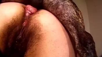 Intense performance with a voluptuous-booty lady ablaze managing canine cock