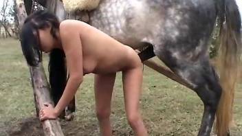 Latina teen with thin lines shoves horse's dick up the pussy
