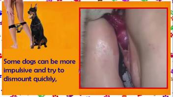 Informative video discussing bestiality intercourse