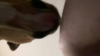 Obedient pup's rigid dick will slip straight inside