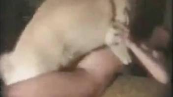 Horny lady getting fucked on all fours by a doggo