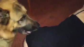 Steamy adult film featuring intense fucking and climaxes