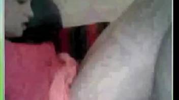 Dog tongues the snug bald vagina of a busty beastiality-loving spouse