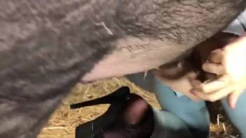 White dog hammering that dripping cunt from the rear