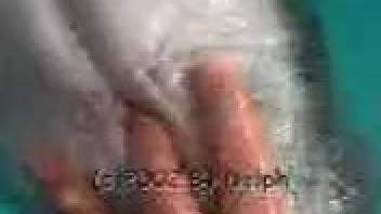 Guy finger-bangs dolphin in twisted sea animal park webcam session