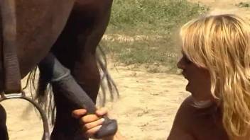 Sun-kissed blond babe in red lingerie gets wrecked by a massive horse-sized dick