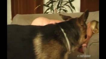 Two seasoned women enticing the same well-hung doggo