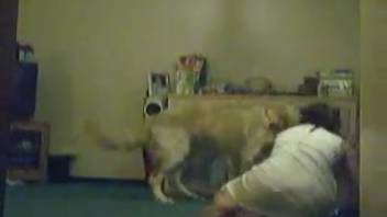 Stunning doggy-style encounter with a sensual amateur woman