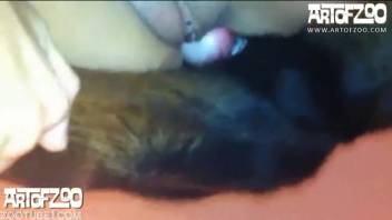 Filthy slut with dreads and nylons bangs a canine