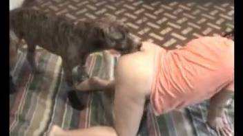 Spotted doggy nicely drills a tight crack of a big-ass zoo slut