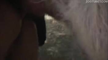 Midnight bestiality video featuring a guy's anus