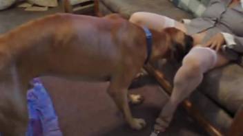 Curvy blonde with a massive rear is gonna get wrecked by a canine