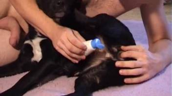 Hot ebony canine and novice animal enthusiast enjoy delightful beastly intercourse